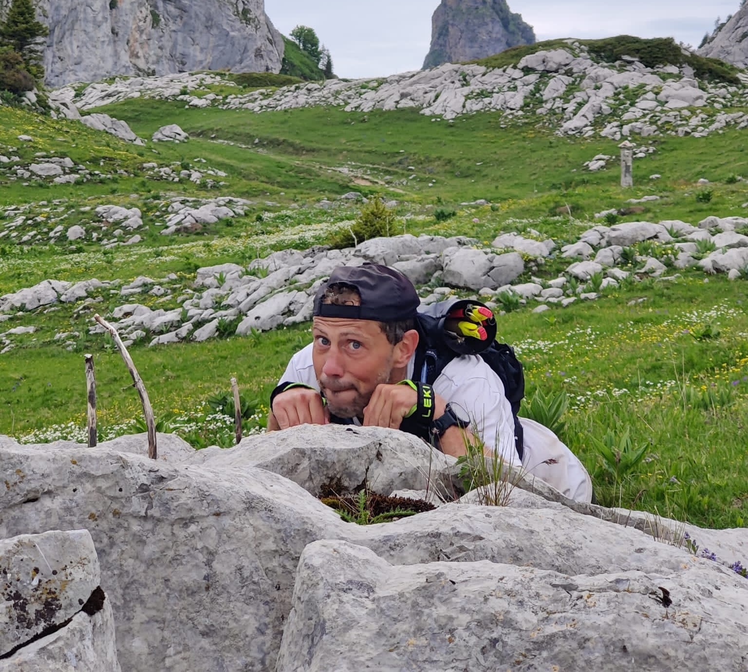 Photo de référence